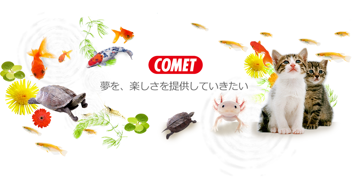 メダカ・川魚の主食 | 観賞魚 フード | 商品紹介 | イトスイ メダカ・川魚の主食 | 観賞魚 フード | 商品紹介 | イトスイ